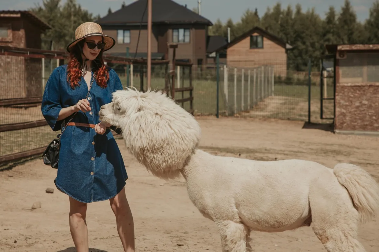 top 5 des plus beau zoo du monde