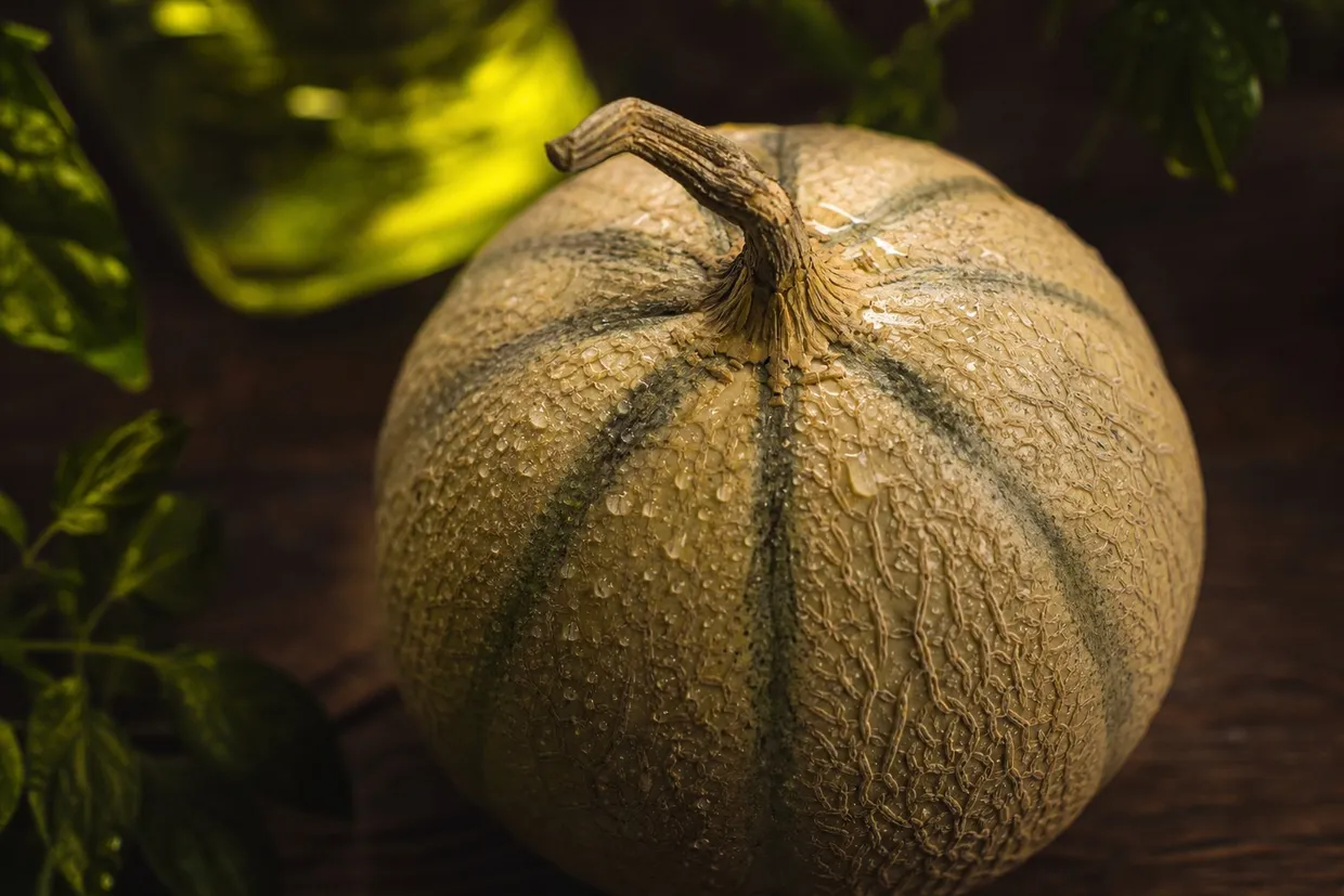 TOP 5 des astuces pour choisir un melon mûr et sucré sans le couper