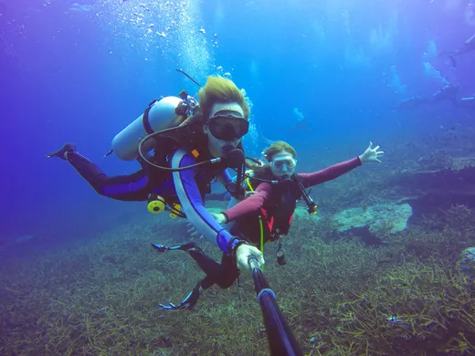 Top 5 des destinations de plongée les plus incroyables au monde